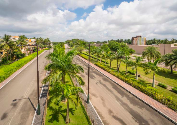 Highway and Road Side Plantation Sevices