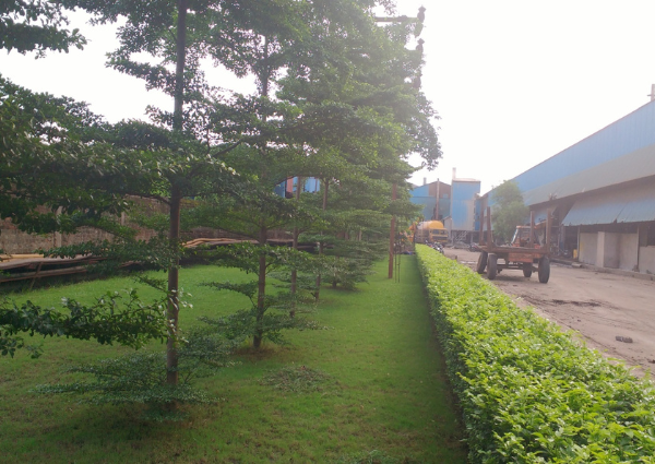 Greenery Development Services