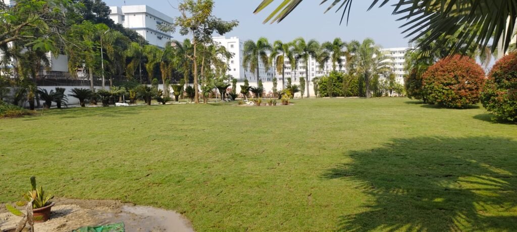 Garden Lawn Development and Lawn Care Services